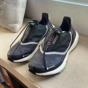 EUC Adidas Ultraboost Gortex Shoes!